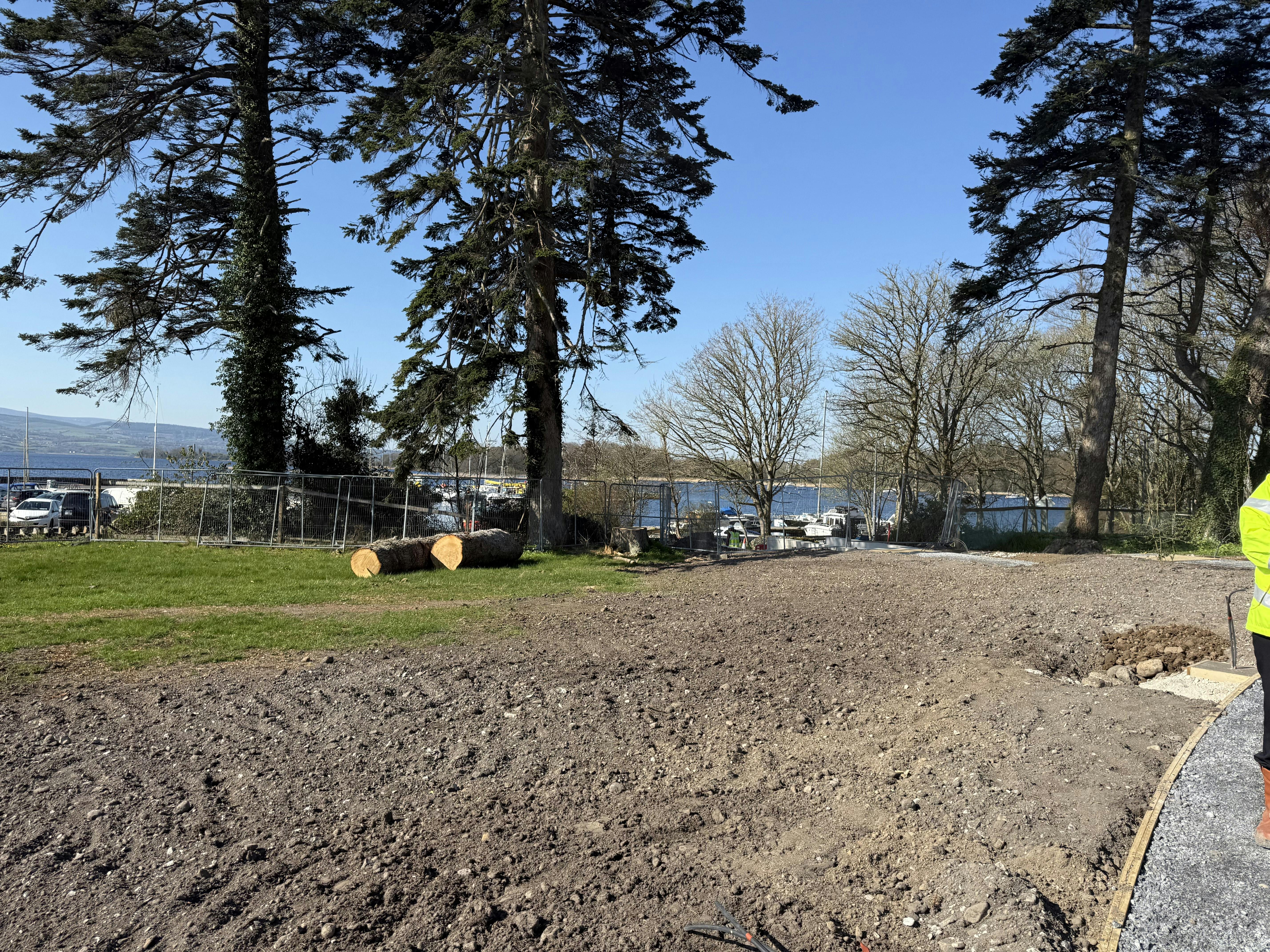 View of the bottom garden area and trees.jpeg