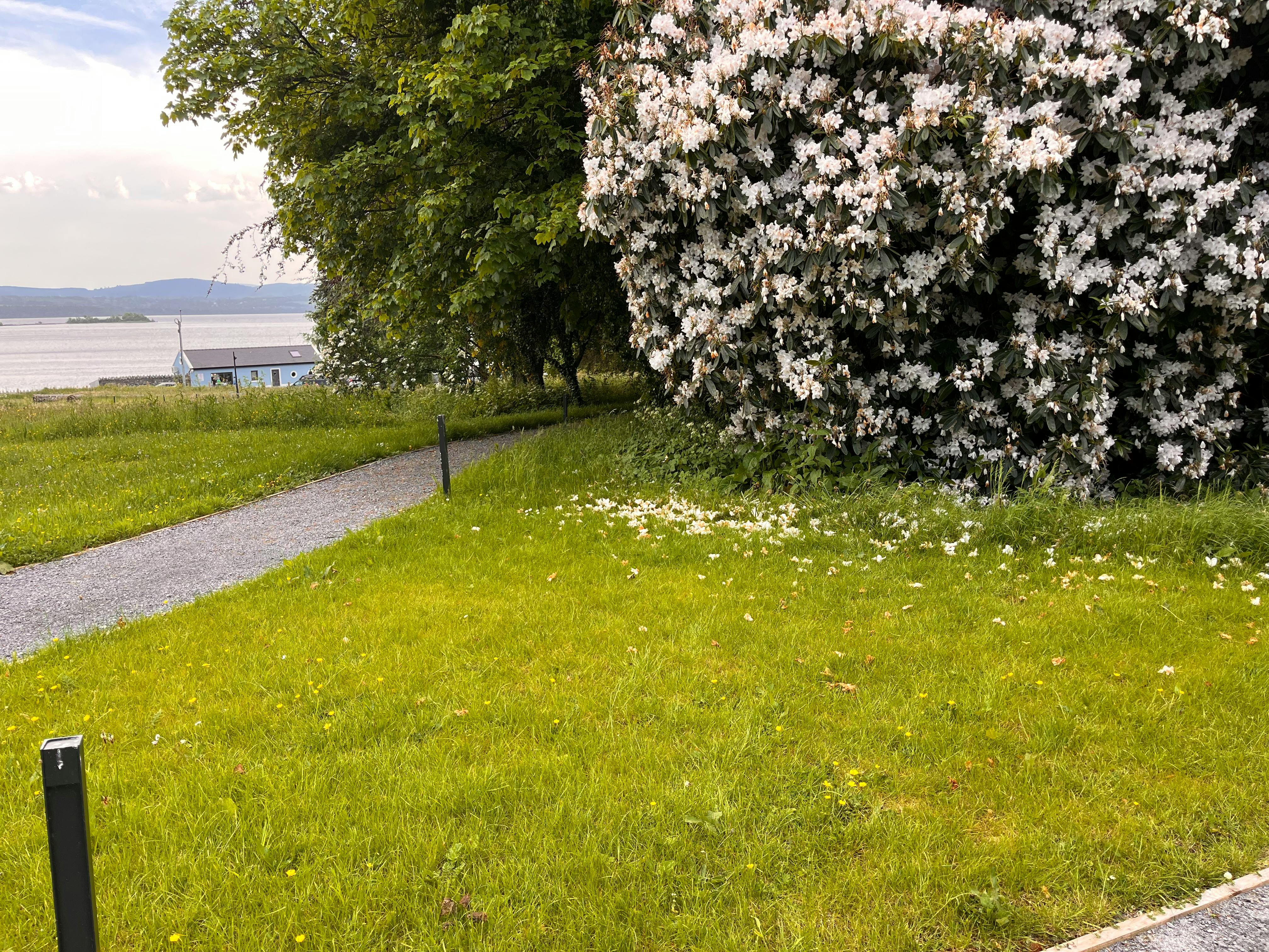 Mountshannon Old Rectory gardens view of site 1.jpeg