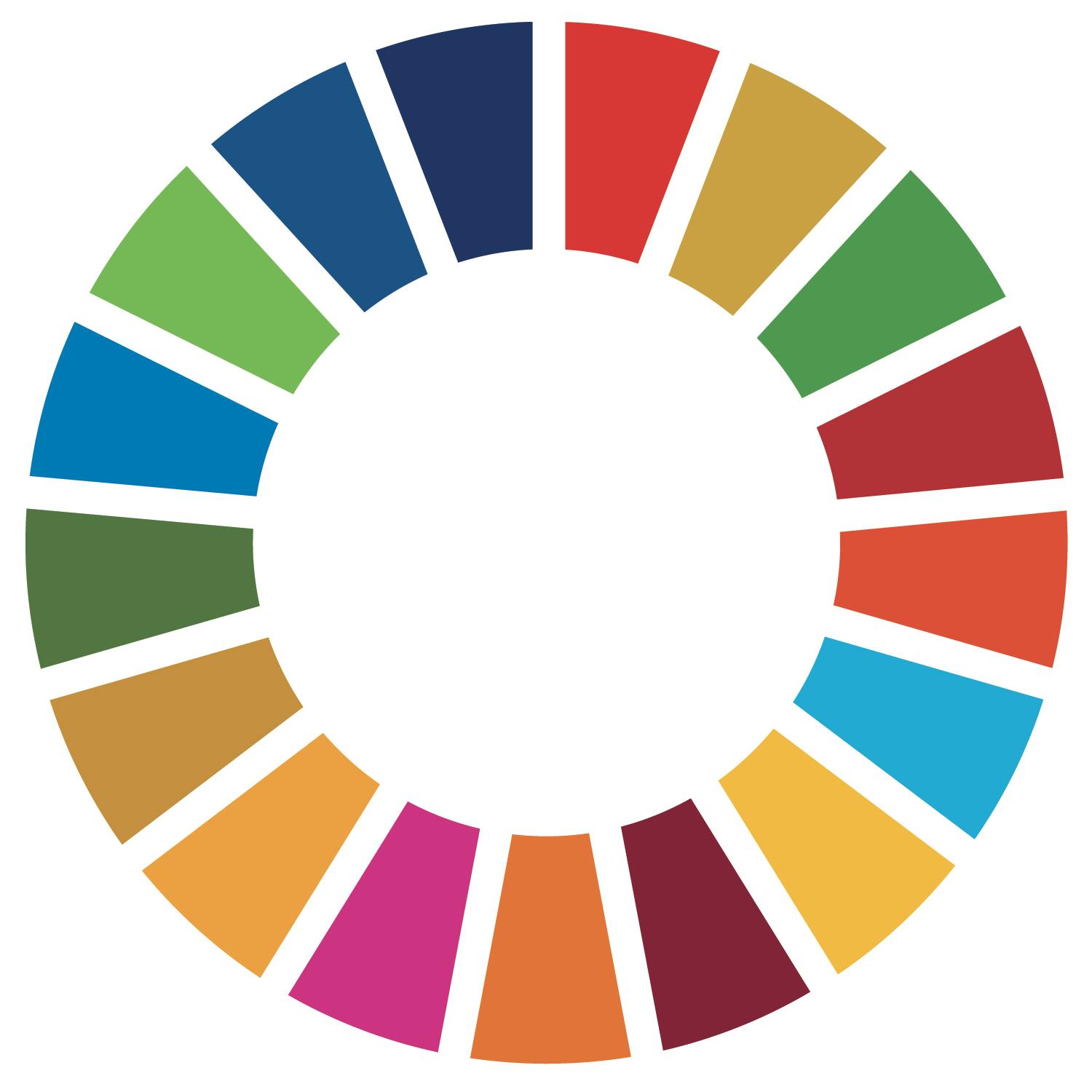 SDG Wheel_PRINT.jpg