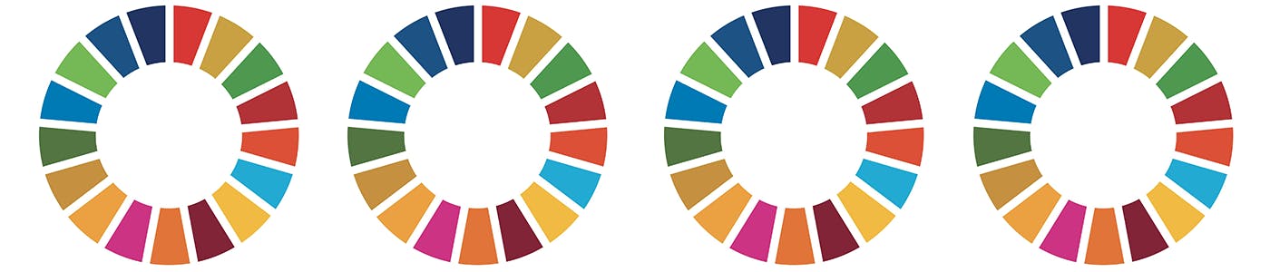 Sustainable Development Goals logo