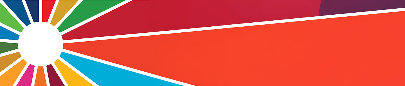 Sustainable Development Goals logo